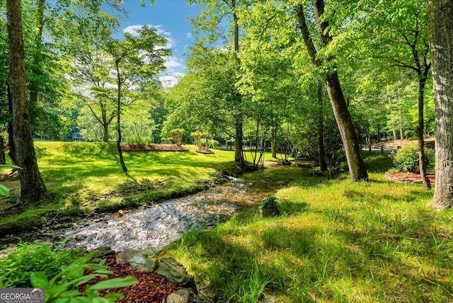 view of yard featuring a water view