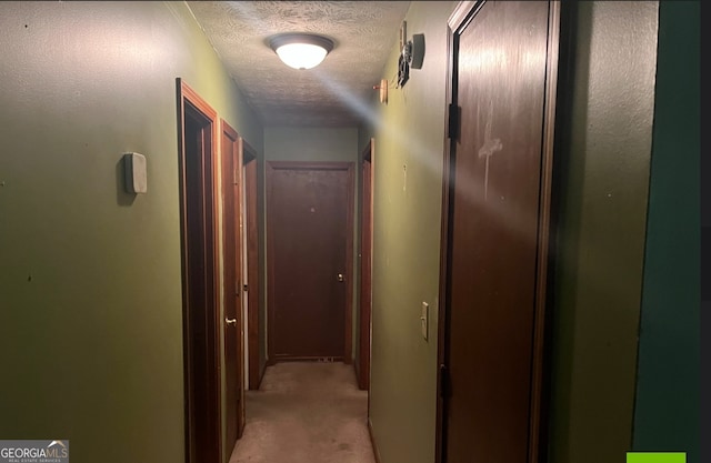 hall featuring carpet flooring and a textured ceiling