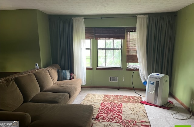 living room with carpet floors and a textured ceiling