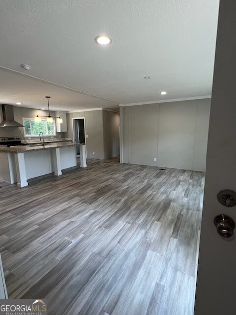 unfurnished living room with crown molding, dark wood-type flooring, and sink