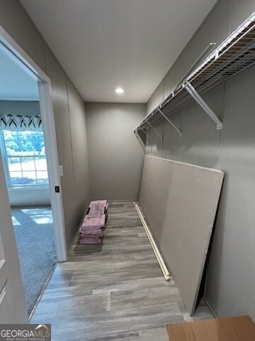 walk in closet with light colored carpet