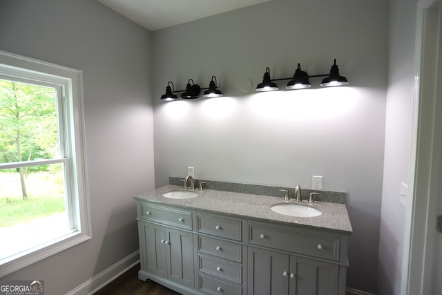 bathroom with hardwood / wood-style floors, double sink vanity, and plenty of natural light