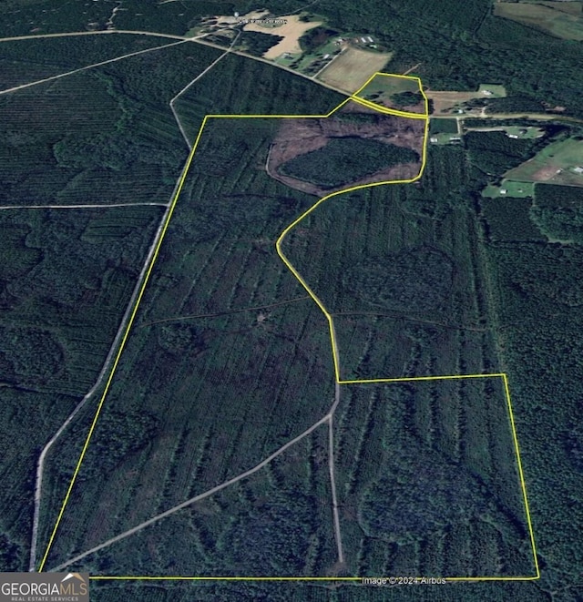 5023 Bachlott Church Rd, Nahunta GA, 31553 land for sale