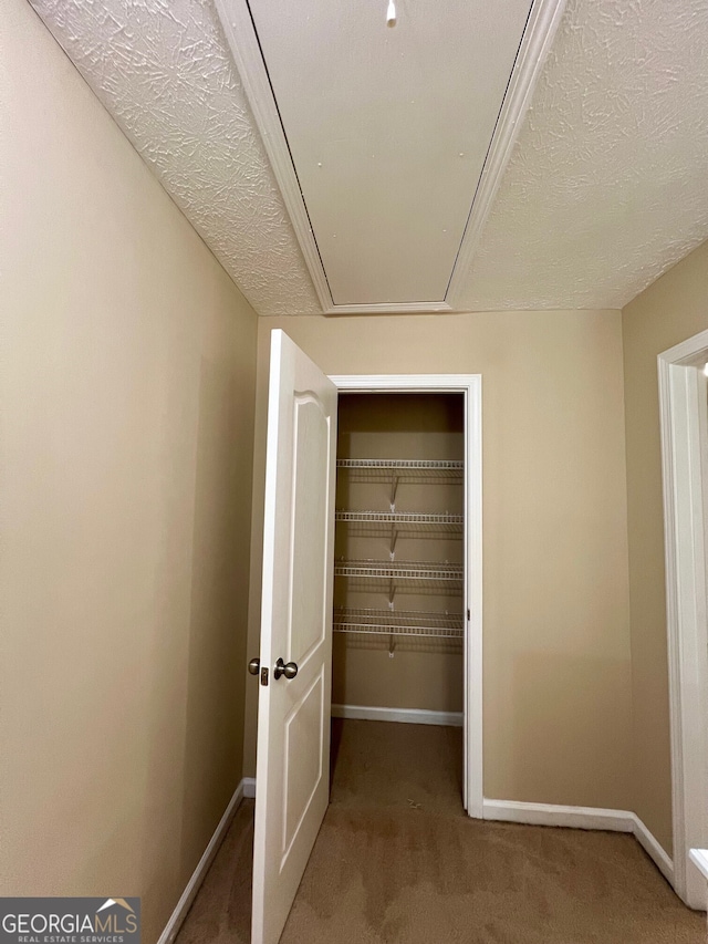 interior space featuring carpet floors and a textured ceiling