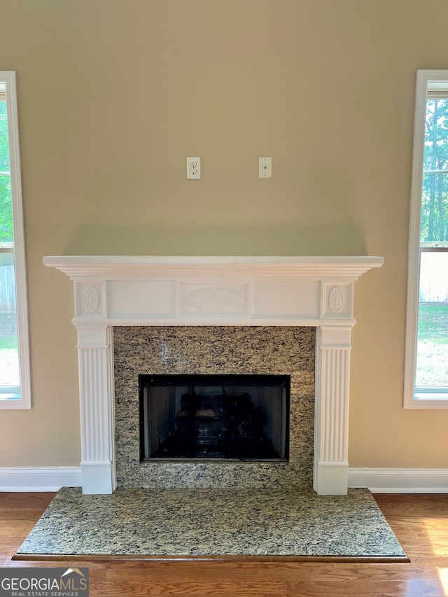 room details with hardwood / wood-style floors and a fireplace