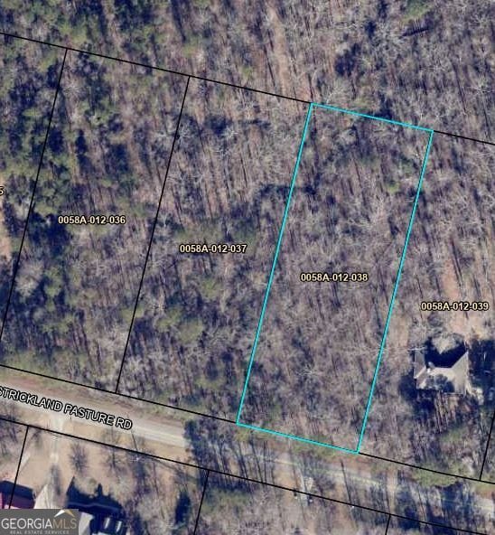 0 Strickland Pasture Rd # 38, Jackson GA, 30233 land for sale