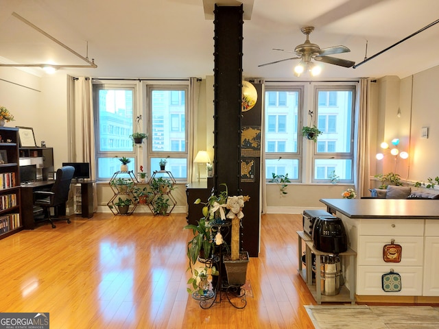 living room featuring a wealth of natural light, light hardwood / wood-style flooring, and ceiling fan