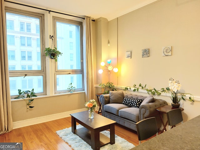 living room with wood-type flooring