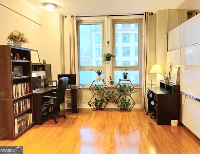 home office featuring light hardwood / wood-style flooring and ornamental molding