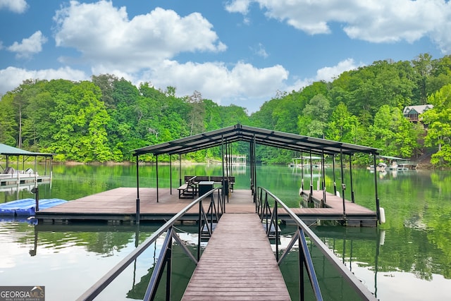 dock area with a water view