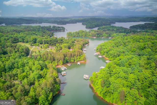 aerial view with a water view