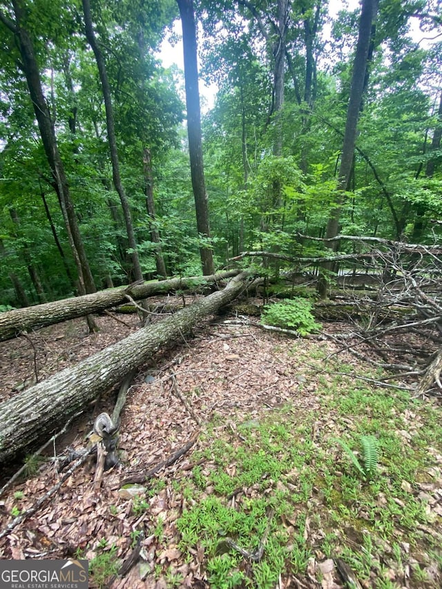 0 Skyview Dr, Ellijay, GA 30536
