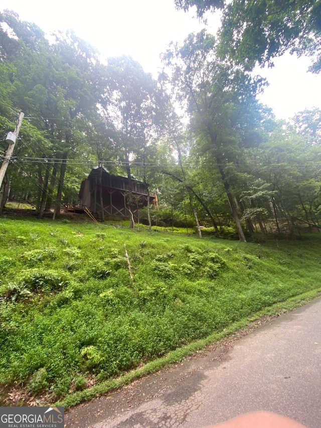 0 Skyview Dr, Ellijay, GA 30536