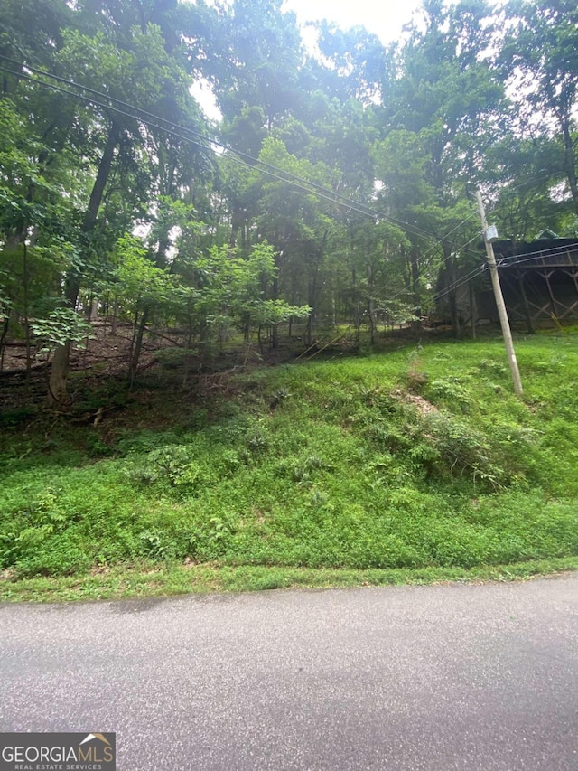 Listing photo 3 for 0 Skyview Dr, Ellijay GA 30536