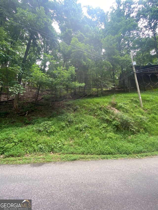 0 Skyview Dr, Ellijay, GA 30536