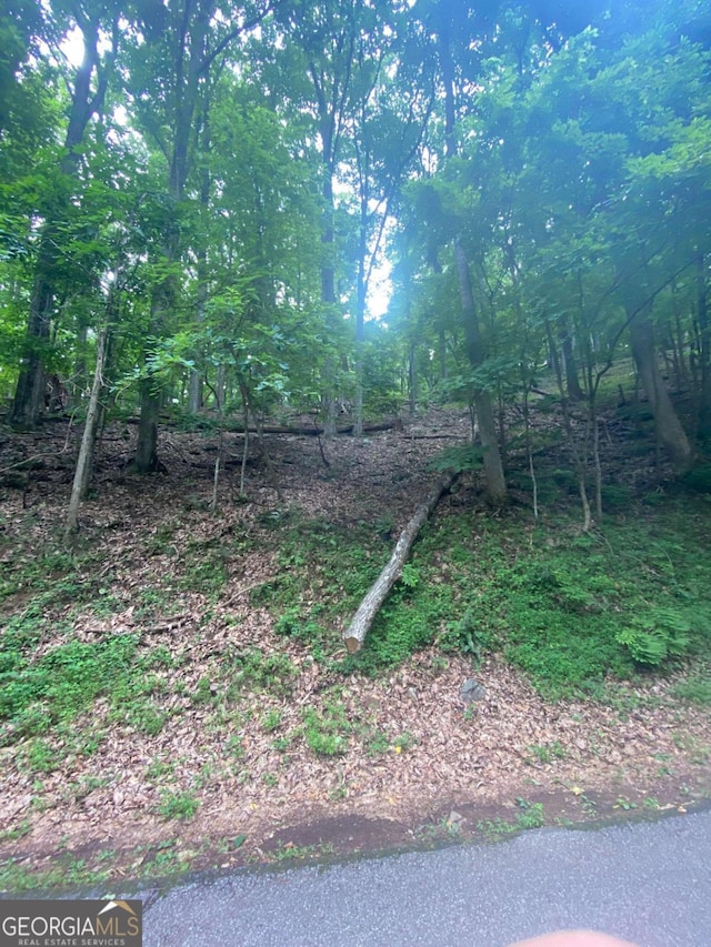 0 Skyview Dr, Ellijay, GA 30536