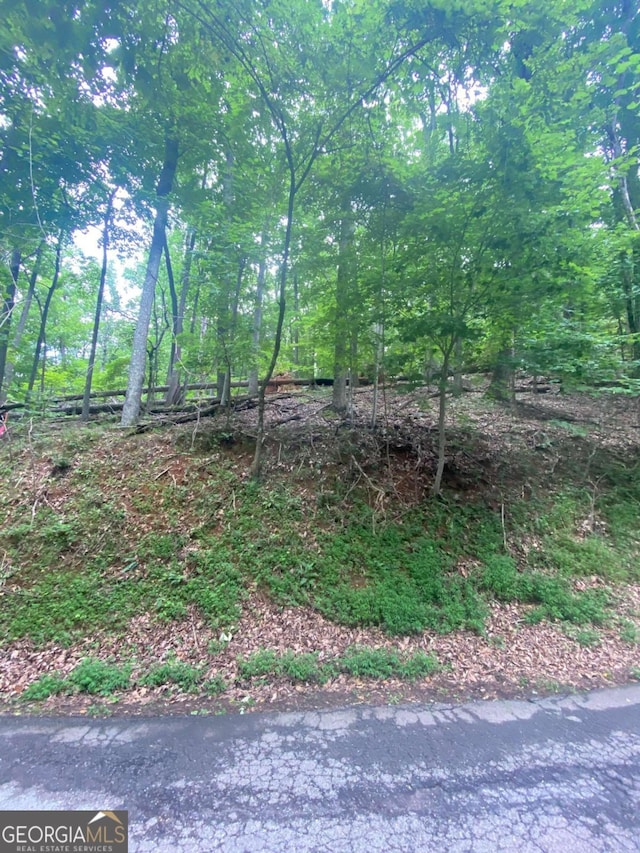 0 Skyview Dr, Ellijay, GA 30536