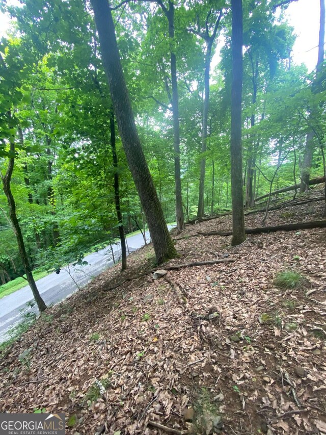 0 Skyview Dr, Ellijay, GA 30536