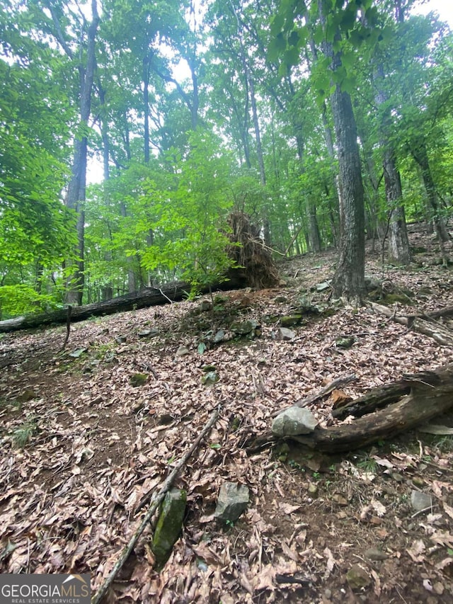 0 Skyview Dr, Ellijay, GA 30536