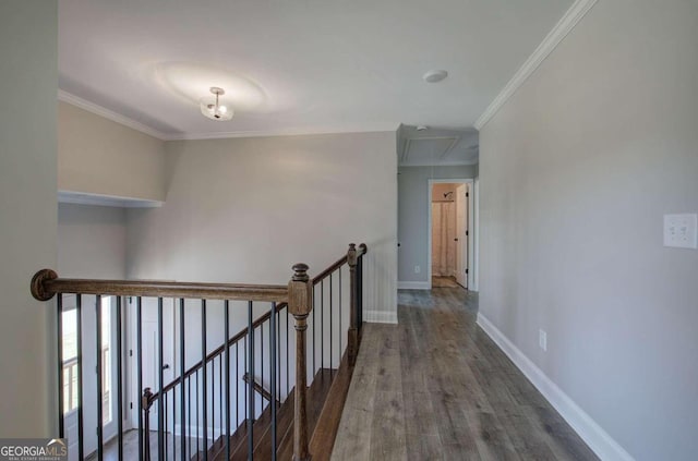 hallway with ornamental molding and dark wood-type flooring