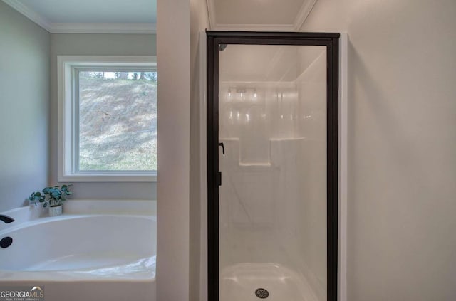 bathroom with a healthy amount of sunlight, crown molding, and separate shower and tub