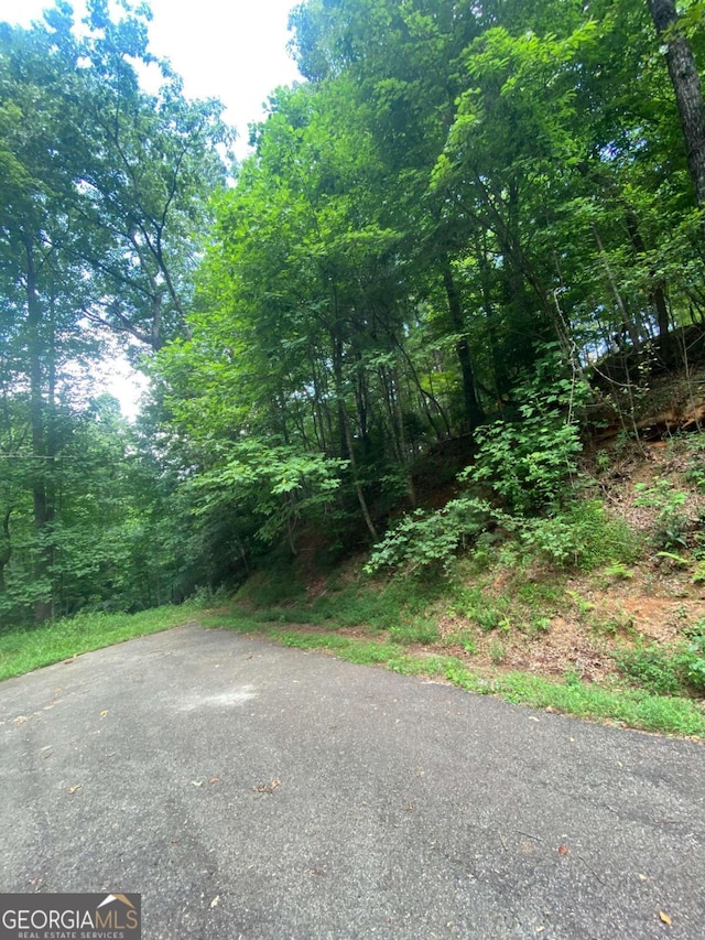 0 Hiawassee, Ellijay GA, 30540 land for sale