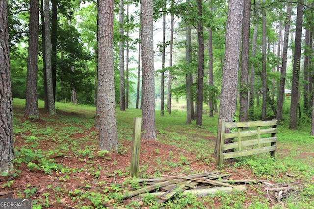 350 County Road 700, Cedar Bluff, AL 35959 - view of nature