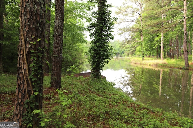 view of local wilderness featuring a water view