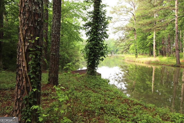 350 County Road 700, Cedar Bluff, AL 35959 - water view with a heavily wooded area