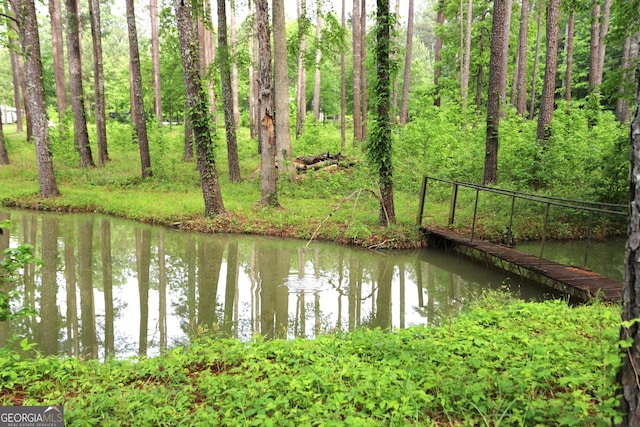 350 County Road 700, Cedar Bluff, AL 35959 - water view