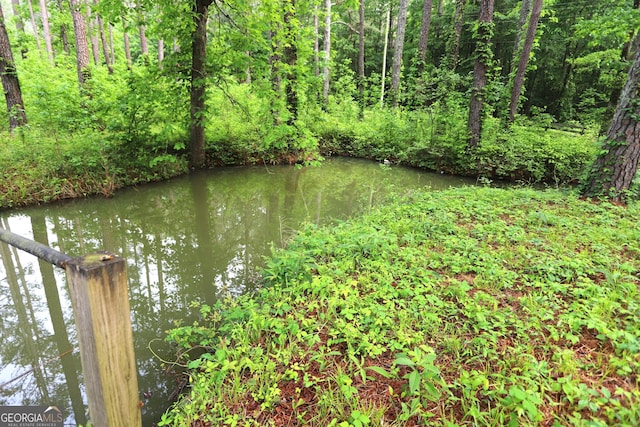 350 County Road 700, Cedar Bluff, AL 35959 - water view featuring a forest