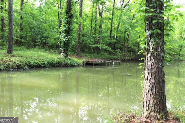 view of water feature