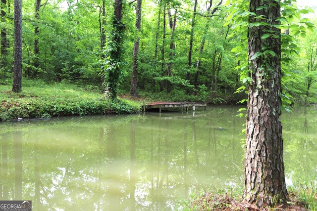 350 County Road 700, Cedar Bluff, AL 35959 - water view featuring a forest