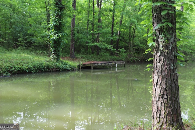 view of water feature