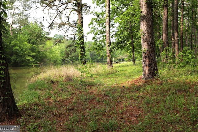 view of local wilderness with a water view