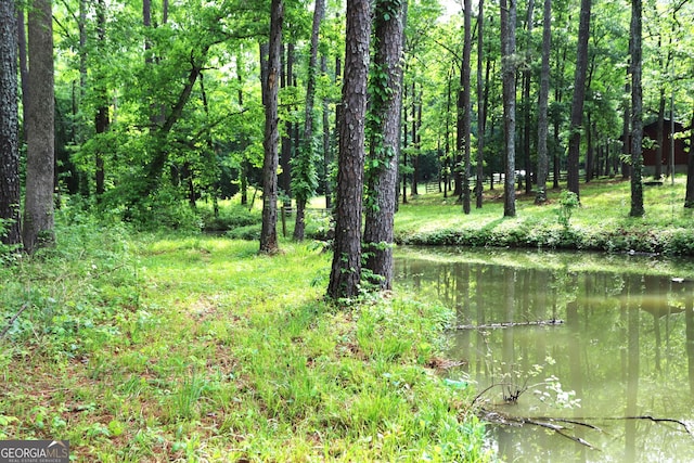 350 County Road 700, Cedar Bluff, AL 35959 - view of local wilderness