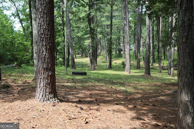 350 County Road 700, Cedar Bluff, AL 35959 - view of nature