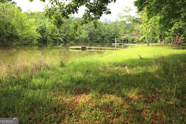 350 County Road 700, Cedar Bluff, AL 35959 - view of nature with a forest view and a water view