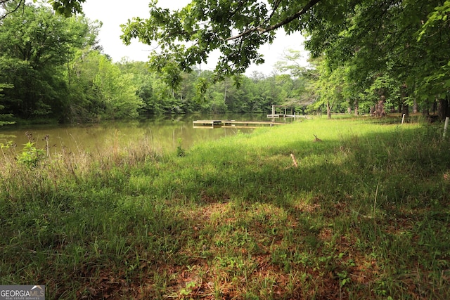 350 County Road 700, Cedar Bluff, AL 35959 - view of landscape with a forest view and a water view