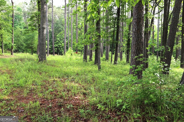 view of local wilderness