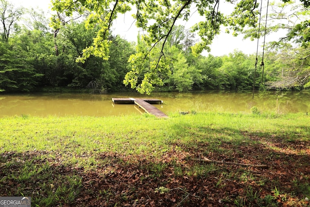 view of yard with a dock and a water view