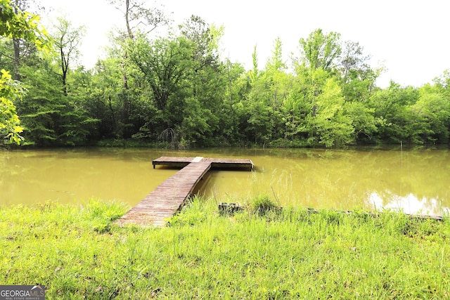 view of dock area