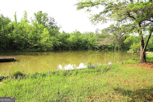 350 County Road 700, Cedar Bluff, AL 35959 - water view