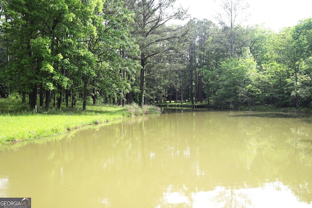 350 County Road 700, Cedar Bluff, AL 35959 - water view featuring a forest