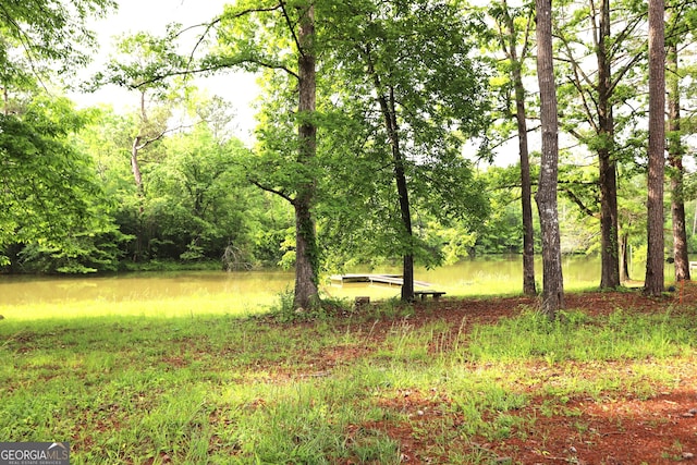 view of nature featuring a water view