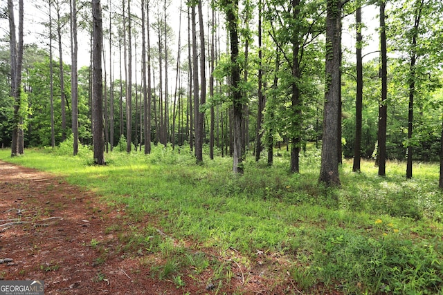 view of nature