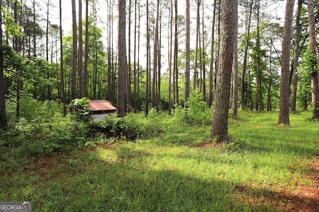 view of nature