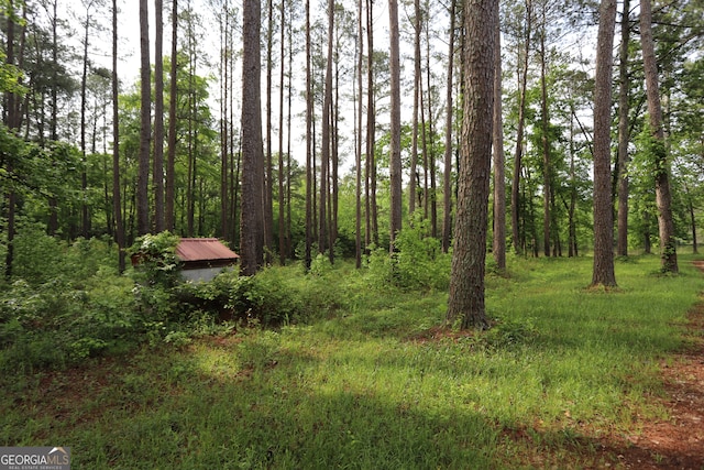 view of local wilderness