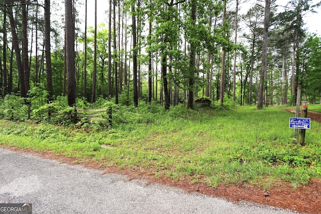 350 County Road 700, Cedar Bluff, AL 35959 - view of street