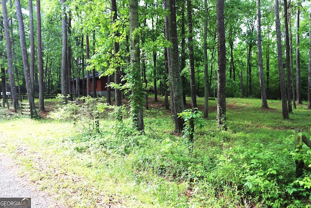 350 County Road 700, Cedar Bluff, AL 35959 - view of nature featuring a wooded view